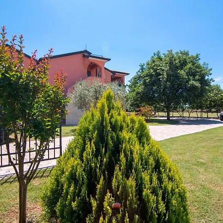 Marcella * 冯塔纳