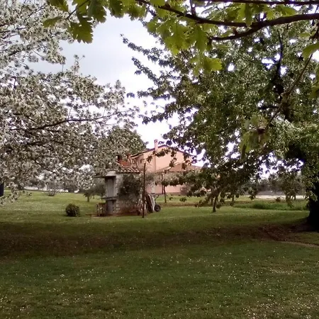 Marcella Apartment *